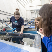Forget Imitation Crab - Researchers Test Snackable Snails