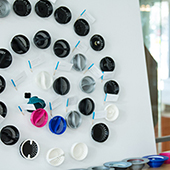 Class of 2017: EDI Thesis Projects