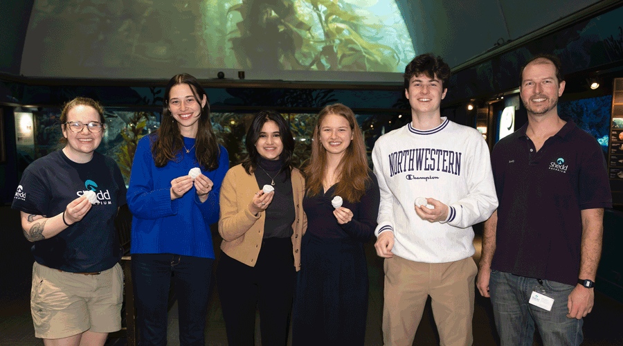 Students worked with Shedd Aquarium researchers to inform strategies for restoration. Photo credit: Heidi Zeiger
